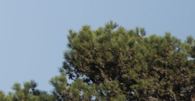 135centerfocuslowerright-2005.jpg