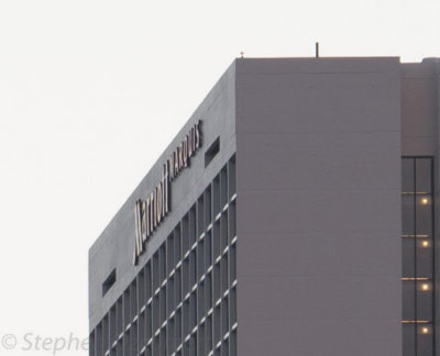 Loxia85F5.6Mariott-3021.jpg