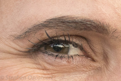 CV65portrait100crop-3029.jpg