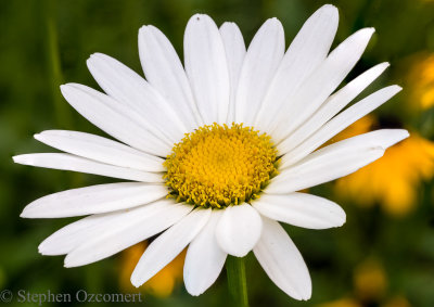 _DSC3306-Edit.jpg