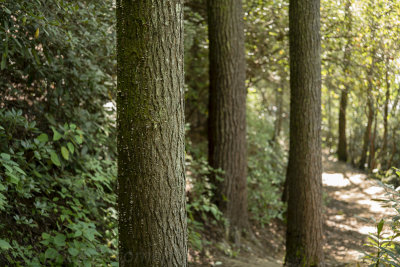 _DSC4287.jpg