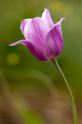 _DSC1613-Edit-2.jpg