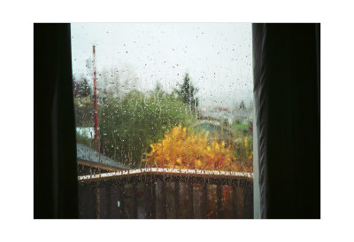 Window in Rain