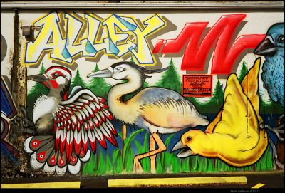 Birdwall