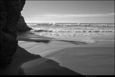 Taking Cover Oregon Coast