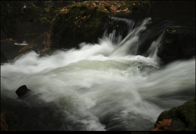 Upper Falls WFP