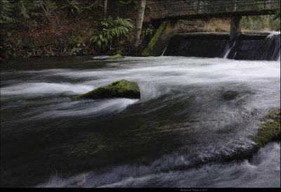 Mossy Rock and Moving Water