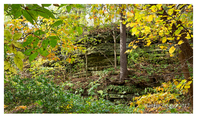 Outcrop, Starved Rock State Park, Illinois 