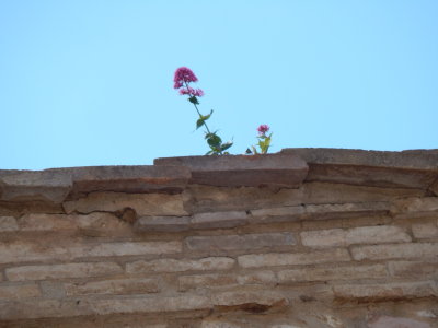 DSCN0258.JPG