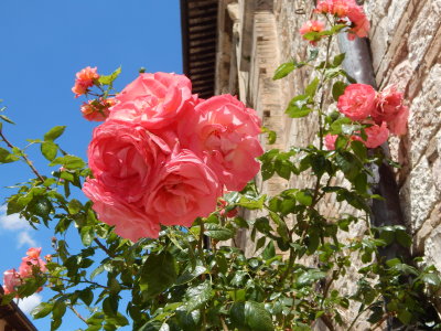 DSCN0312.JPG