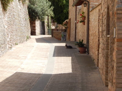 DSCN0359.JPG