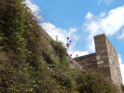 DSCN0360.JPG