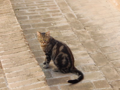 DSCN0361.JPG