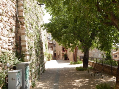 DSCN0362.JPG