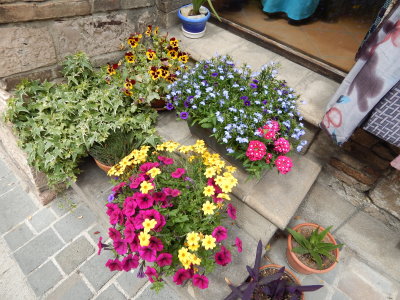 DSCN0368.JPG