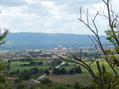 DSCN0377.JPG