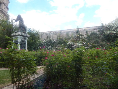 DSCN0391.JPG