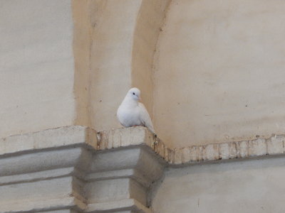 DSCN0393.JPG