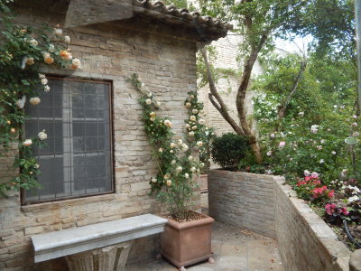 DSCN0395.JPG