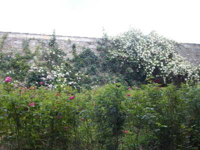 DSCN0398.JPG