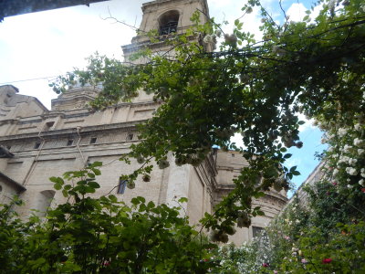 DSCN0403.JPG