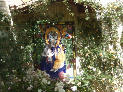 DSCN0411.JPG