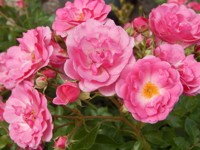 DSCN0422.JPG