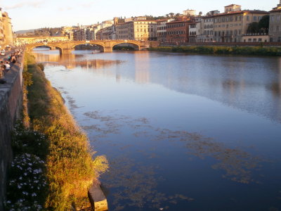 P5253874.JPG