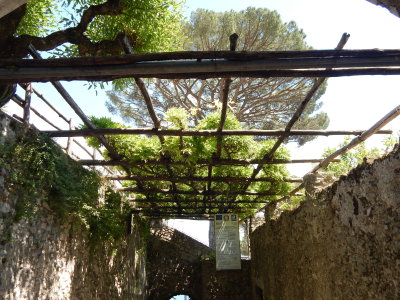 DSCN2296.JPG