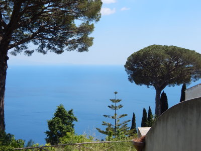 DSCN2308.JPG