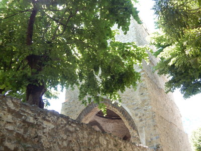 DSCN2314.JPG