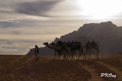 6a Wadi Rum (4).jpg