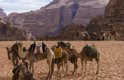 6a Wadi Rum (6).jpg