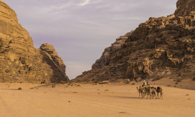 6a Wadi Rum (7).jpg