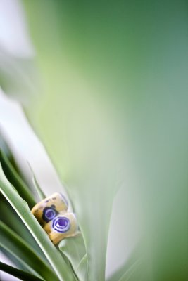 IMG_5836.jpg
