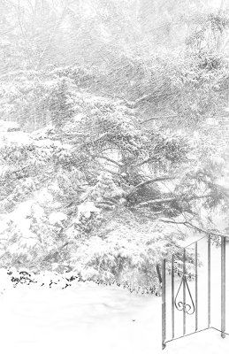 The Snow Shower