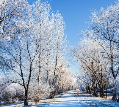 Dazzling White...