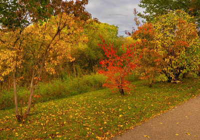 Manitoba Autumn
