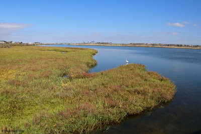 Bolsa Chica Wetlands in fall colors