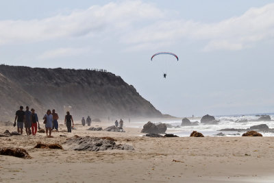 Illegal Paraglider created havoc with shorebirds