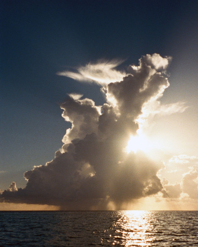 Dawn Storm