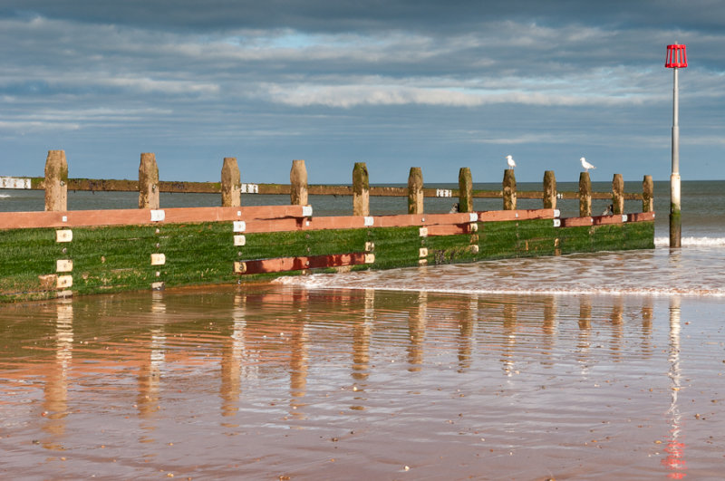 Dawlish Warren  17_d90_DSC_0038