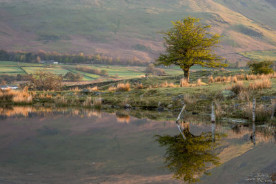 Tewet Tarn  18_d800_1259