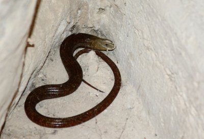 DSC_1255.jpg
