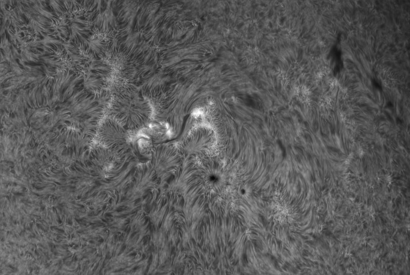 AR2651 26 April 2017