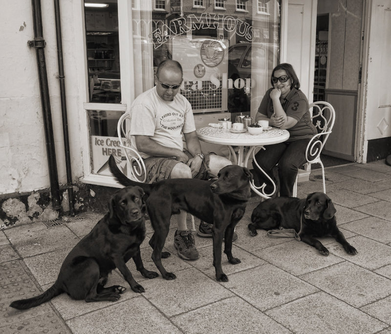 Bedale couple with dogs