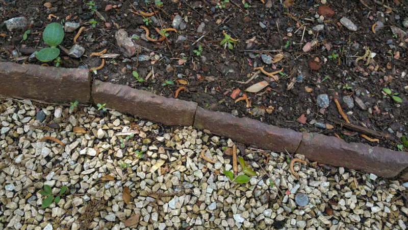 Brick Edging