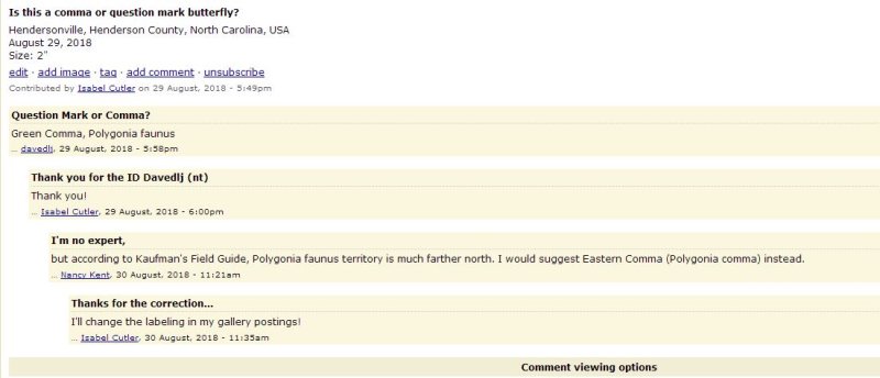 I love the people at bugguide.net