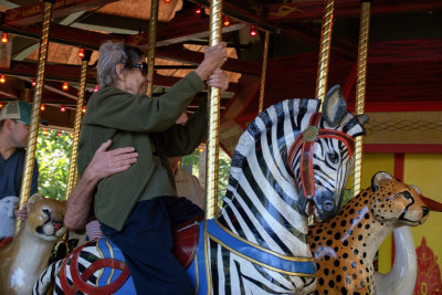 DSC00756 The Carousel was running at a good clip