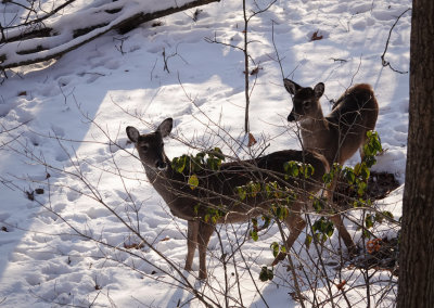 DSC05692 Almost scared them off